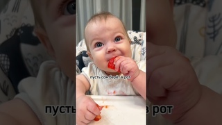 ПРО КУСОЧКИ В ПРИКОРМЕ