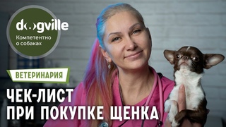 Покупка щенка Чек-лист ветеринарного врача