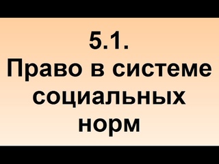5.1. Право в системе социальных норм