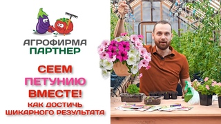 Vídeo de Доставка букетов  “Цветы“, “Камелия“ г.Орлов