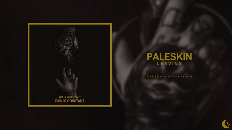 PALESKIN