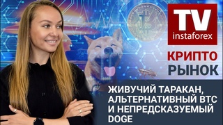Крипторынок: Альтернативный BTC и непредсказуемый DOGE (BTC/USD, ETH/USD, XRP/USD, DOGE/USD)