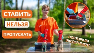 ЭКСПЕРИМЕНТ | Так ли нужны предварительные копытные ванны