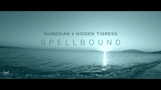 Numedian & Hidden Tigress - Spellbound (Original Mix)