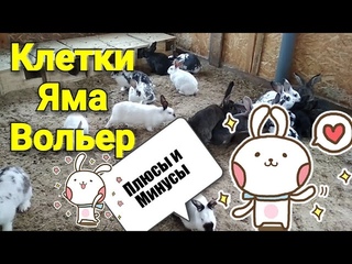 Три способа содержания кроликов. Клетки , Кроличья Яма и вольер - плюсы и минусы .