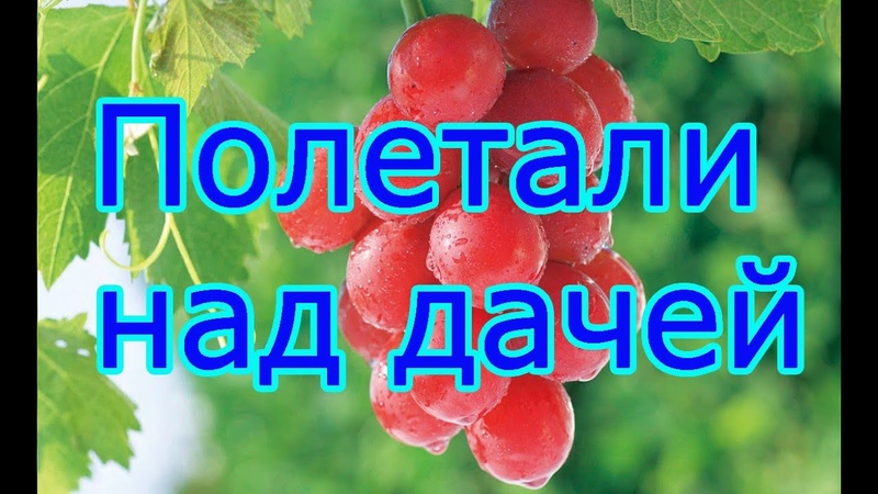 Полетали над дачей на севере Беларуси, , We flew over a country house in the