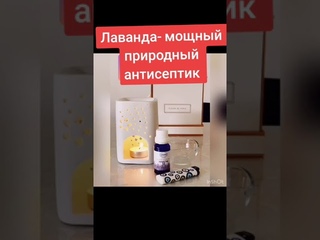 Лаванда - природный антисептик #эрсаг #масла
