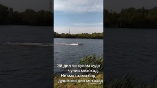эй дил чи кунам худо чунин мехохад . фиръавн. мусо