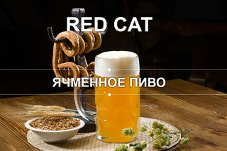 Ячменное пиво