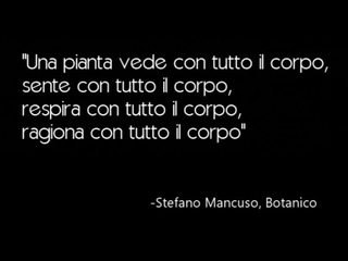 Le Piante sono intelligenti? Lezione di Stefano Mancuso, Botanico.