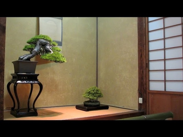 Bonsai gardens in