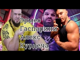 Эрмес Гаспарини Алекс Курдеча  Разбор боя от Дениса Цыпленкова, Заурбек Ходов Вячеслав Шарагович
