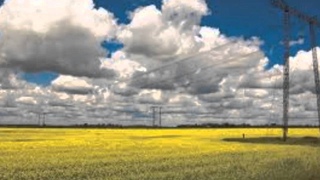 БИОДИЗЕЛЬ достойная замена дизтопливу