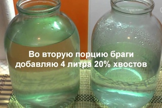 Самогонщик Тимофей  Самогонный аппарат Sapphire  Тест обзор