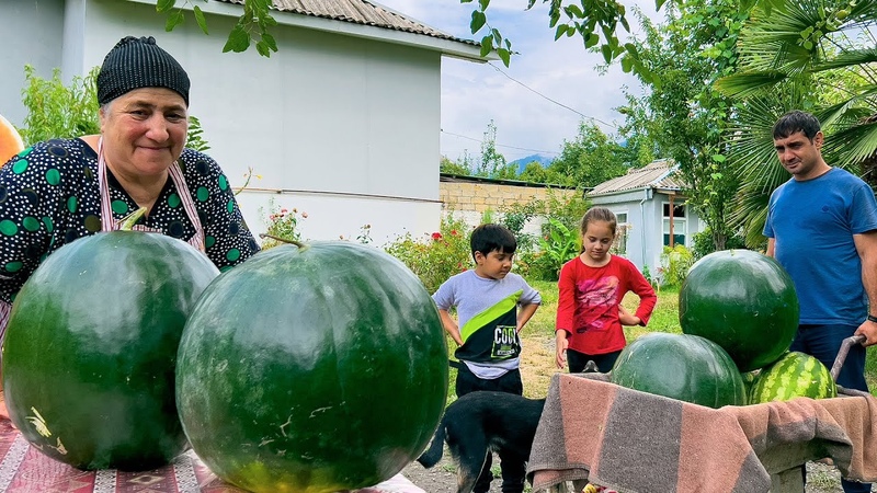GRANDMA COOKING 250 KG OF WATERMELON JAM DIY NATURAL JUICE FOR THE WHOLE