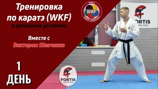 Тренировка по каратэ (WKF) в домашних условиях / День 1 / FORTIS KARATE CLUB / Виктор Шевченко