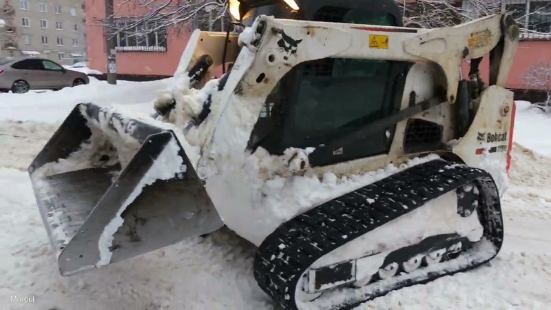 Bobcat