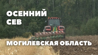 Осенний сев: технологическая дисциплина в Могилевской области