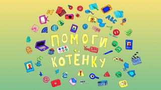 “Помоги котенку“ - можно ли верить таким просьбам?
