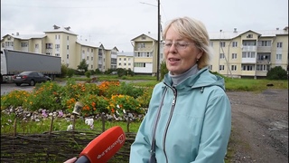 Несмотря на «посягательства вандалов», клумба «Возрождение» борется за победу в «Цветущем городе»