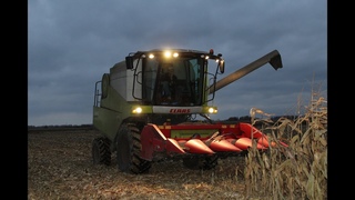 Koszenie Kukurydzy 2016 Claas Avero 240 Fendt 309 Vario TMS