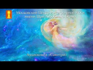 К чёрной Пустоте Савитри