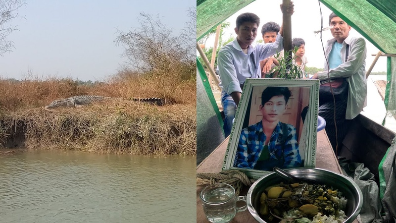 Crocodile attacks on the rise in southern Myanmar, Radio Free Asia (