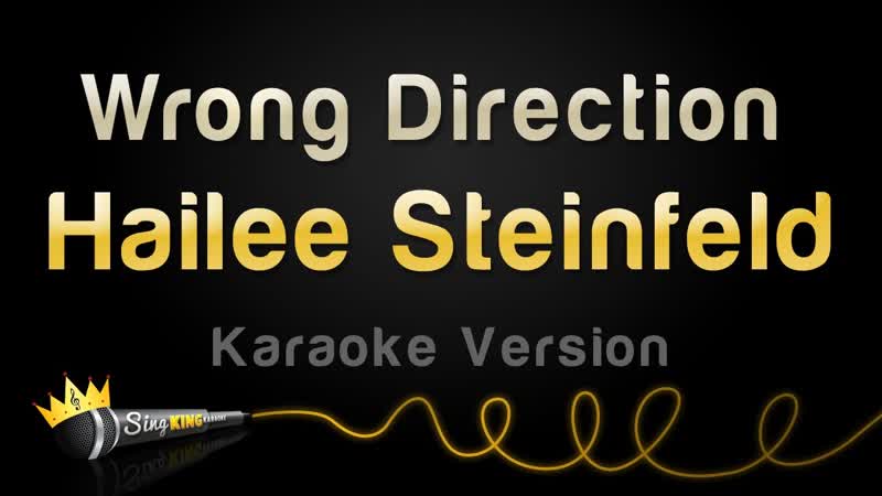 Hailee Steinfeld Wrong Direction ( Karaoke