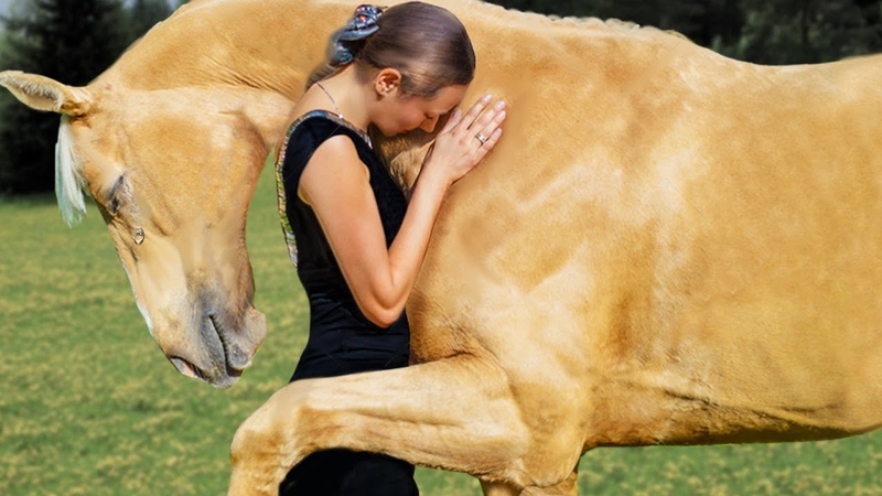 Des Animaux Réunis avec leur Maître des Années