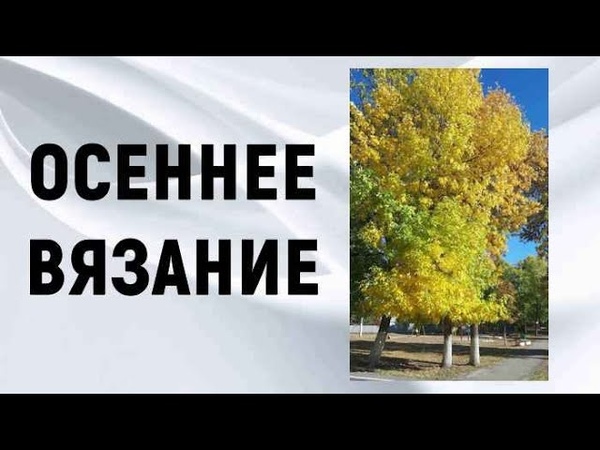 ОСЕННЕЕ НАСТРОЕНИЕ, Осень рыжая подружка помогает в