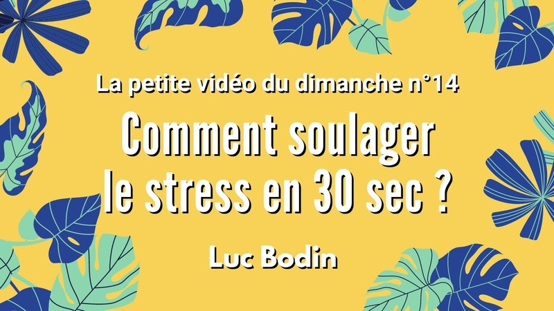 COMMENT SOULAGER LE STRESS EN 30 SEC La petite vidéo du dimanche n