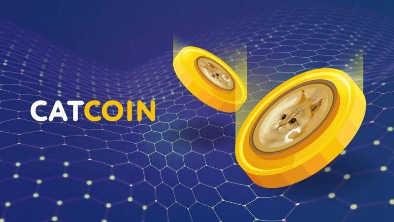 THE RISE OF CATCOIN: WHAT YOU NEED TO KNOW ABOUT THIS SURGING