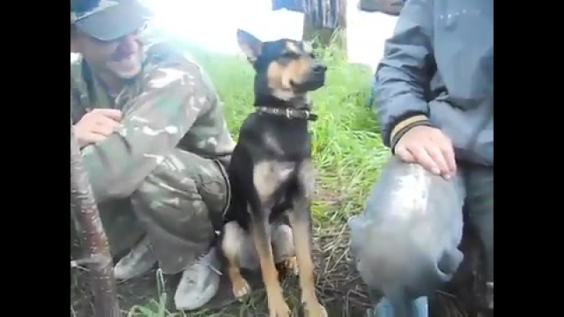 Не спи