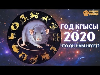 #Росэя #Магия 12 волшебных дней Нового года