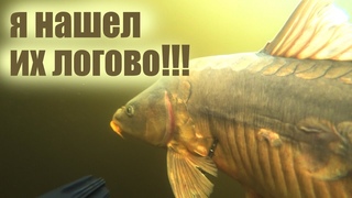 ПОСЛЕДНЯЯ "ВАРВАРСКАЯ" ОХОТА!!! РЕКОРД БЫЛ ОЧЕНЬ БЛИЗКО!!!