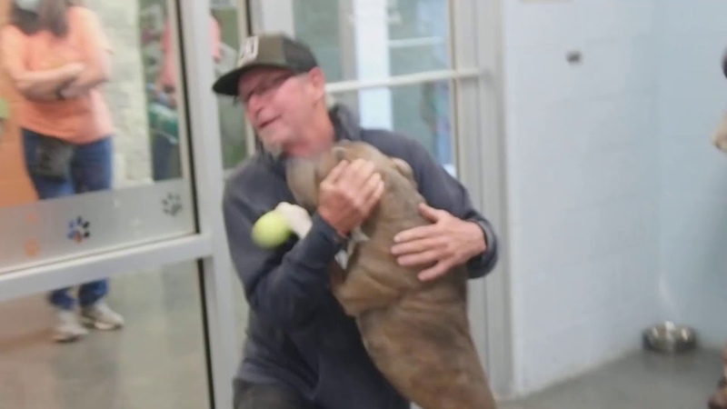 This Dog Cant Believe His Dad Finally Found Him After 6