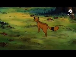 Felidae - Cats Mating - Music Cover By Me