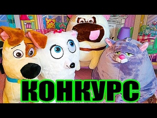 КОНКУРС ТАЙНАЯ ЖИЗНЬ ДОМАШНИХ ЖИВОТНЫХ от НАСТЮШИК ИГРУШКИ ГИДЖЕТ КОШЕЧКА ХЛОЯ МАКС