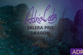 Склера Sklera Pro Dragon