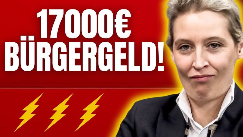 ALICE WEIDEL DECKT GERADE RIESEN BÜ RGERGELD SKANDAL