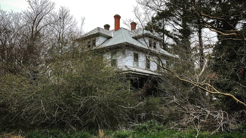 Fully Packed Abandoned House Tucked Away Deep in the Woods of Southern