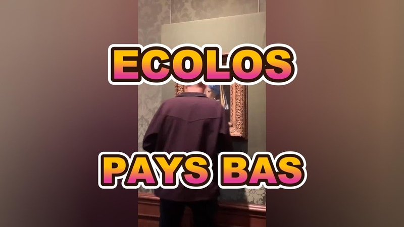 Un écolos se colle la tete sur La jeune fille à la perle de