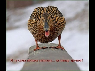 Боевые утки.