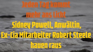 Jeden Tag kommt mehr ans Licht: Sidney Powell, Anwltin, Ex-CIA Mitarbeiter Robert Steele hauen raus