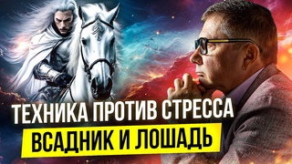 ТЕХНИКА НАПРАВЛЕННОЙ ВИЗУАЛИЗАЦИИ. Всадник и лошадь. #докторгаврилов #психология #медитация #диета