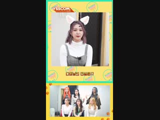 Dreamcatcher (Dami) @ YSSCOM