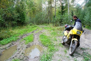 Эндуро осень\ Enduro autumn