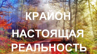 Крайон - Вы сами создаете свои жизненные уроки. Но вы можете их отменить