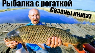 Рыбалка с рогаткой в России , рогатка с aliexpress для рыбалки  Сазан кишит Рыбалка сазан Рыбалка