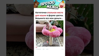Лучшие Мемы Дня  Украинцы создали говорящую гирю